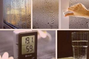 Как убрать влажность в комнате: причины и способы ее устранения
